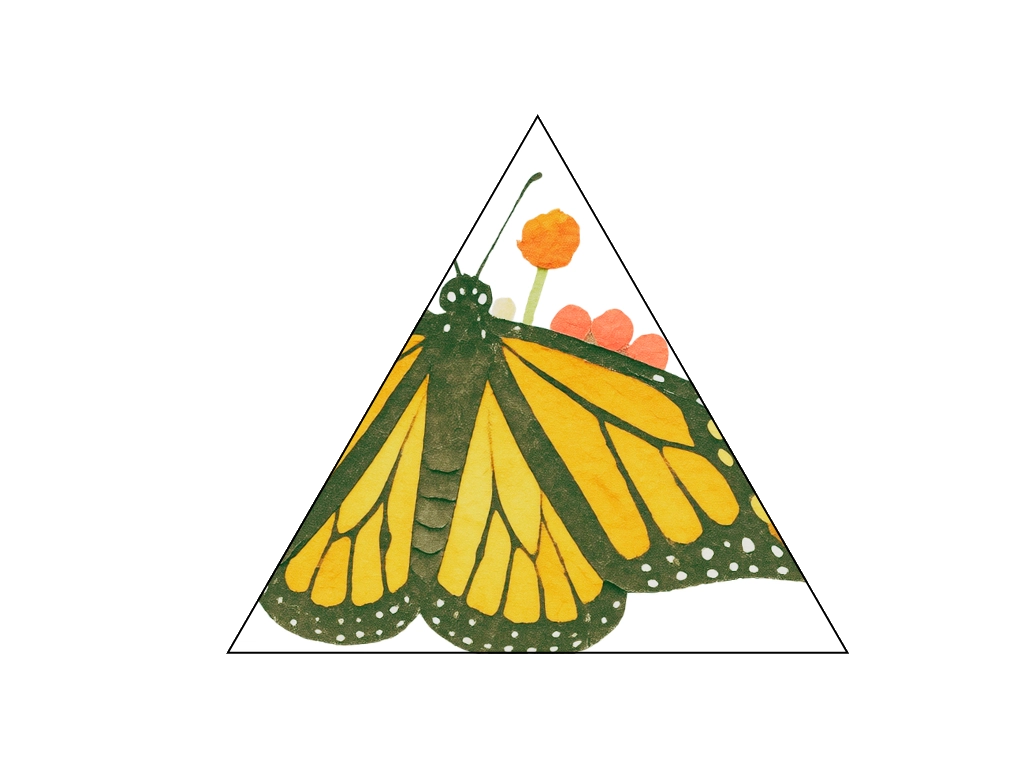 Insect Farmers